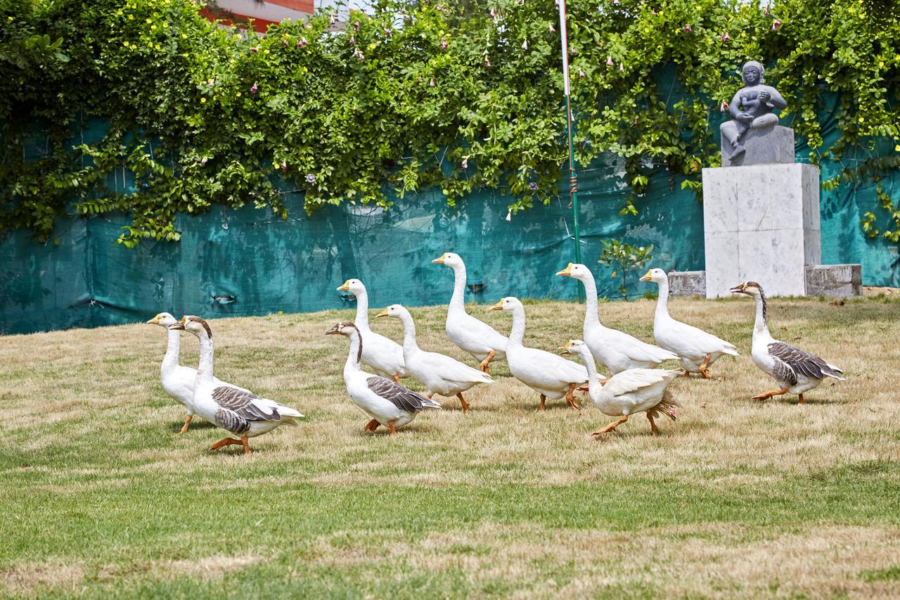 Joe Beach Resort Mahabalipuram Εξωτερικό φωτογραφία